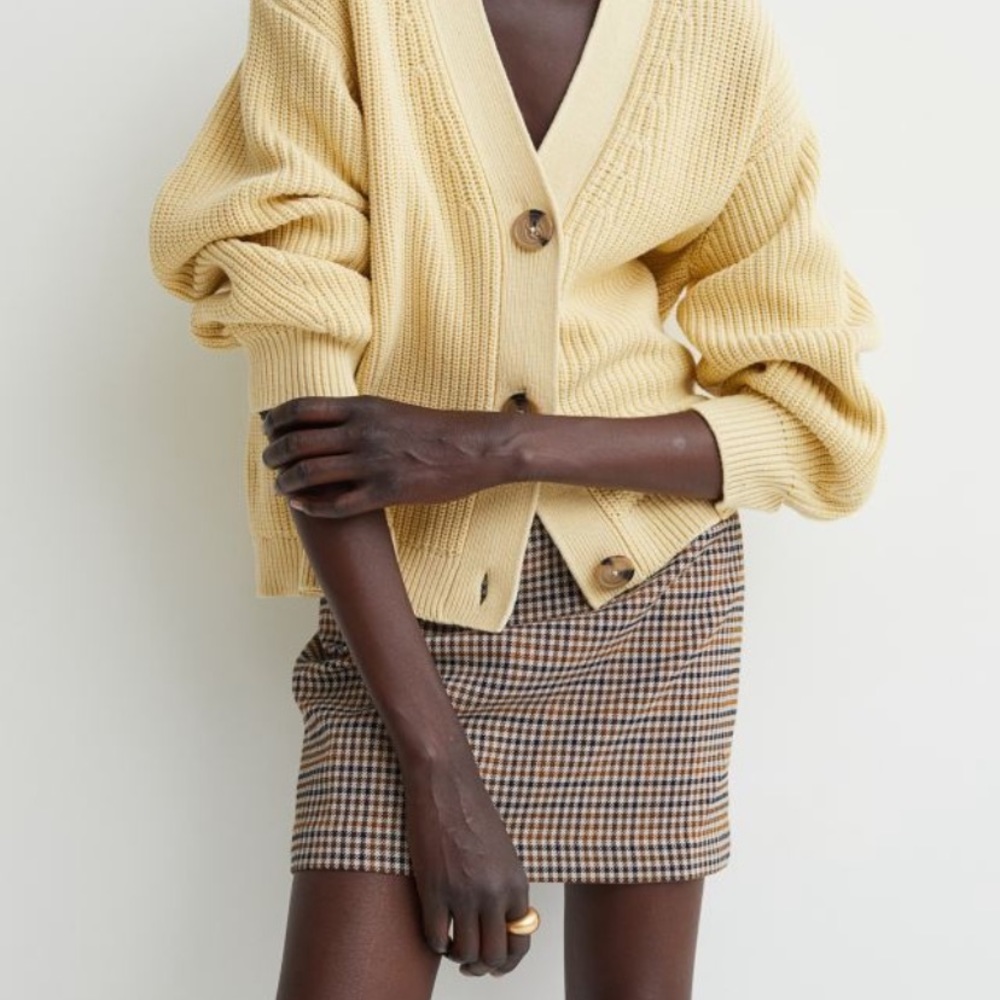 H&M Mini Skirt